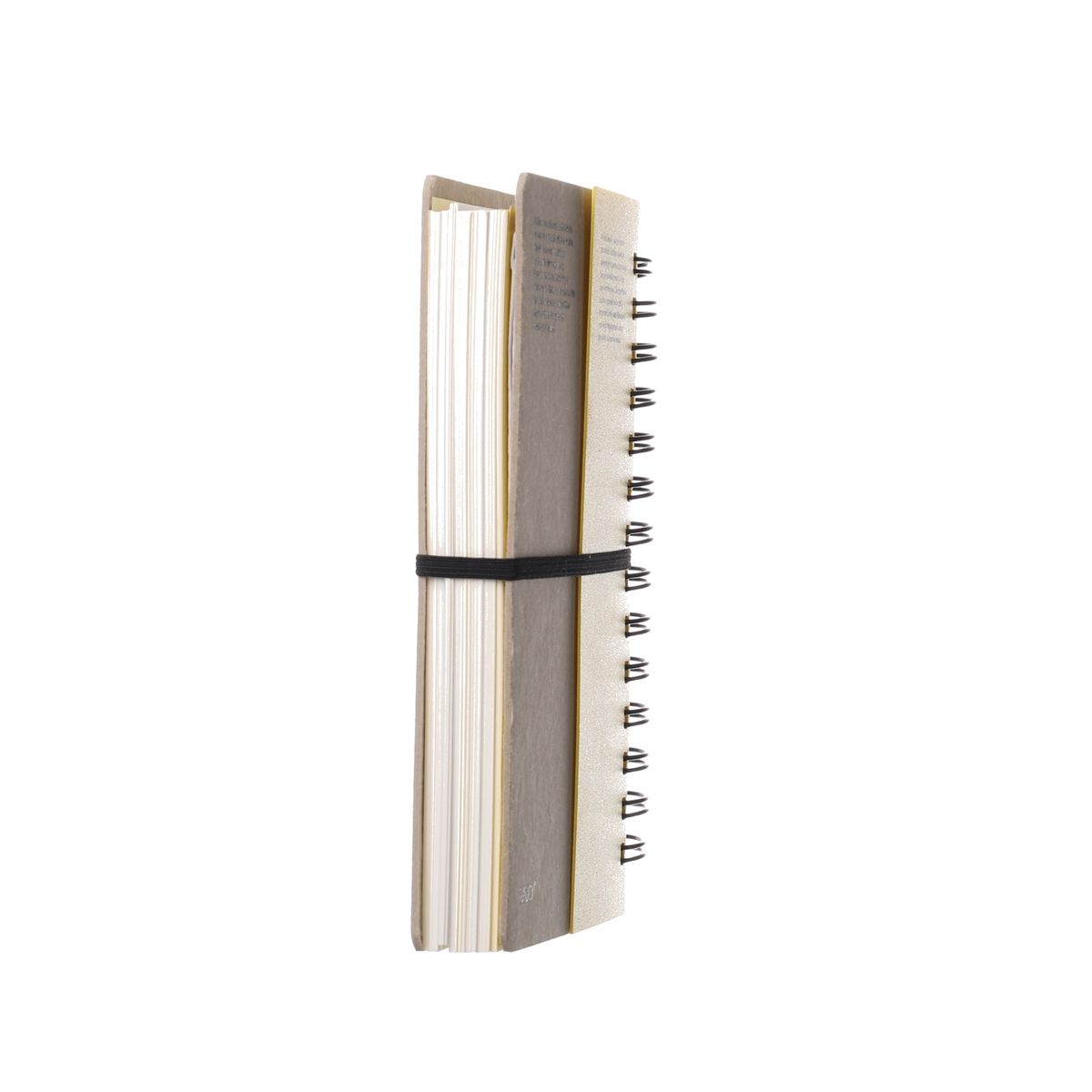 r010_a105_thumb