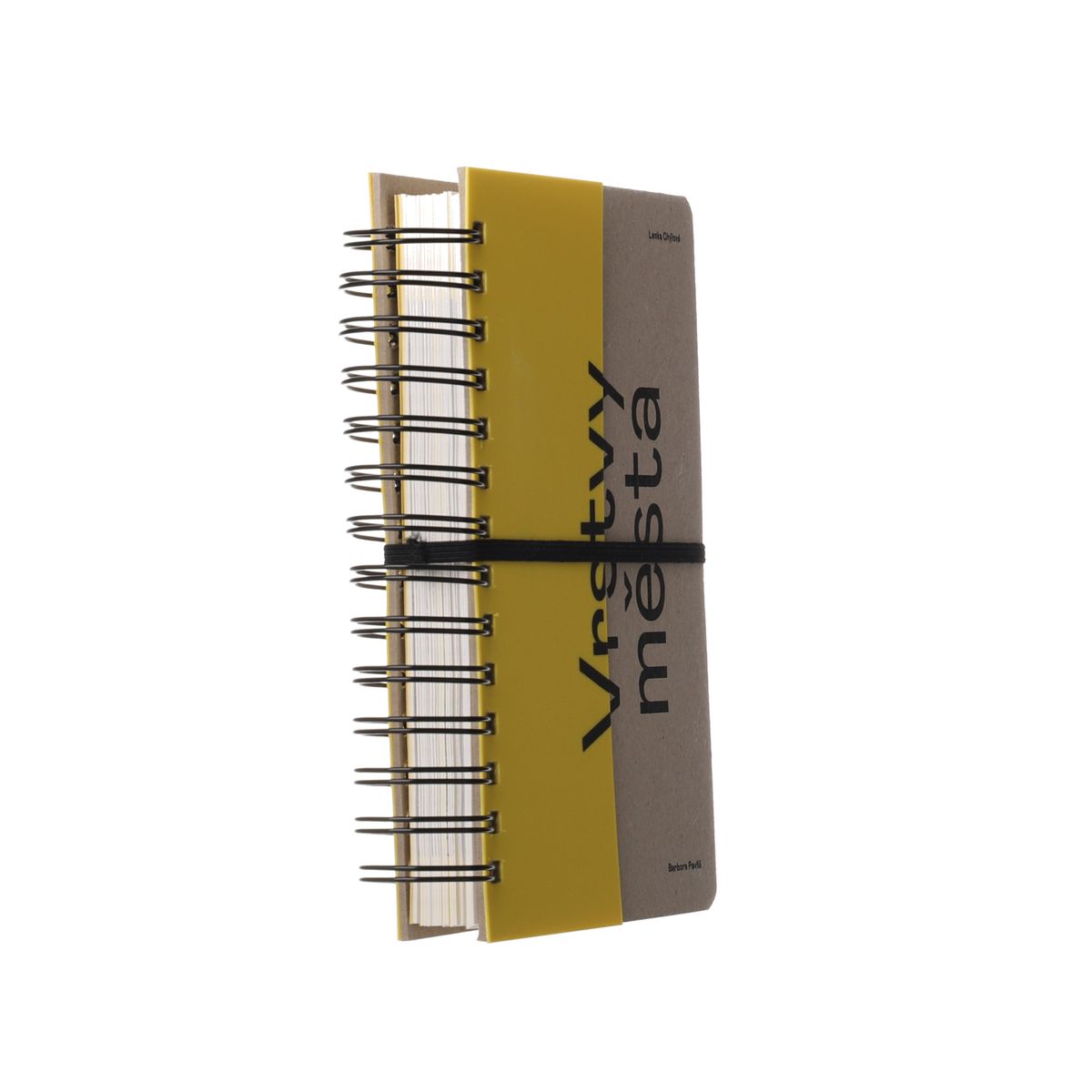 r010_a300_thumb